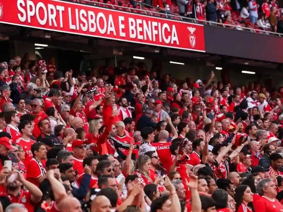 img, 塞梅多总结 img, 塞梅多总结