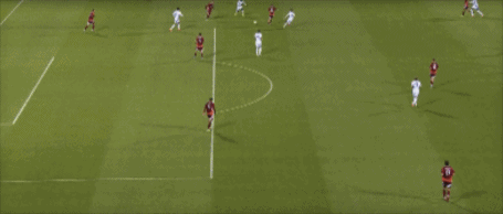 兹维德里斯, 拉脱维亚, 皮克福德